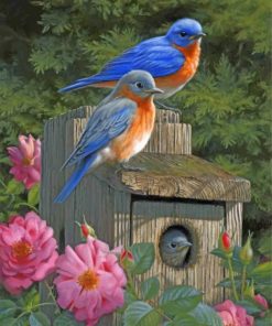 Garden Bluebirds Paint by numbers