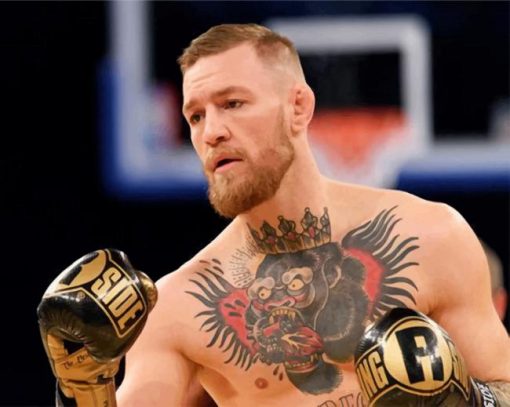 Handsome Conor Mcgregor paint by numbers