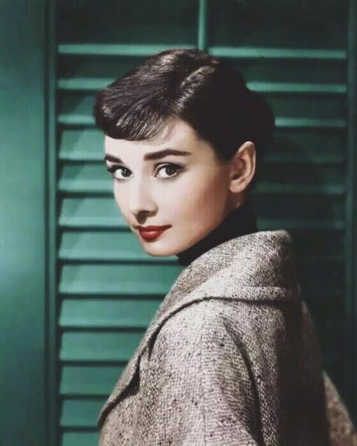 Sweet Audrey Hepburn paint by nu