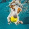Jack Russell Underwater paint by numbers