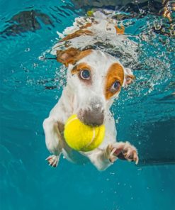 Jack Russell Underwater paint by numbers