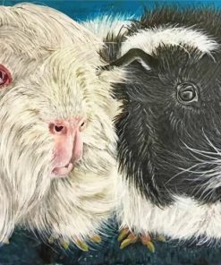 Aesthetic Guinea Pigs Paint by numbers