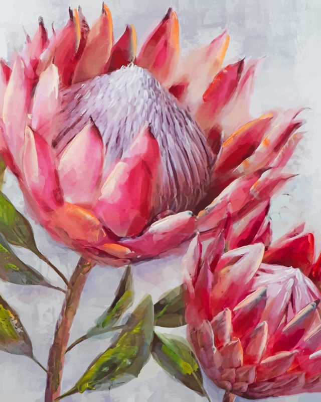 Pink Protea - Paint By Number - Num Paint Kit