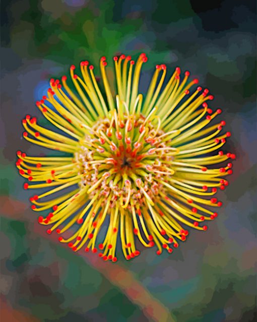 Yellow Protea paint by numbers