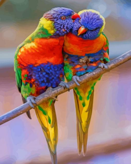 Rainbow Lorikeet Birds paint by numbers