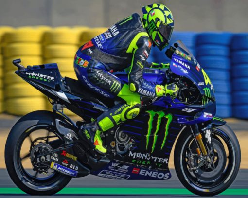 Valentino Rossi Le Mans paint by numbers