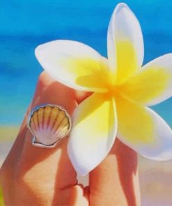 White And Yellow Frangipani Flower paint by numbers