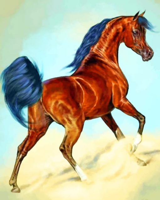Wild Arabian Horse paint by numbers