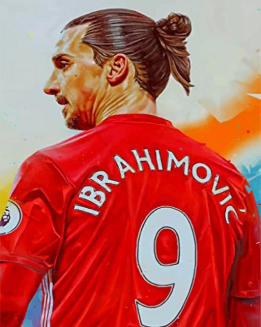 Zlatan Ibrahimovic paint by numbers