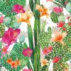 Cactus-And-Flowers-Art-paint-by-number