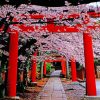 Takenaka-Inari-Jinja-Shrine-kyoto-paint-by-numbers