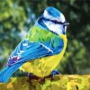 abstract-blue-tit-bird-paint-by-number