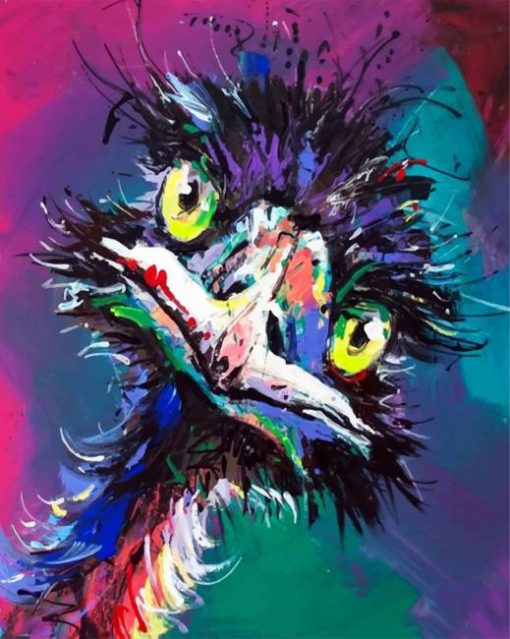 abstract-emu-paint-by-numbers