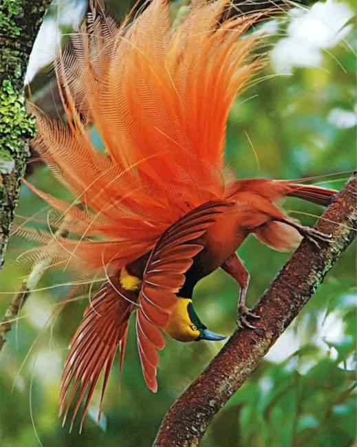 aesthetic-birds-of-paradise-paint-by-number