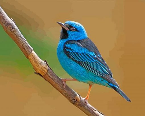 aesthetic-blue-bird-paint-by-number