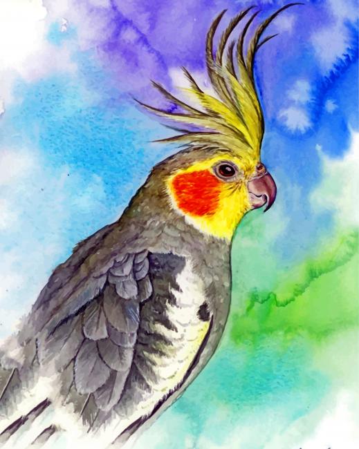 aesthetic-cockatiel-paint-by-number