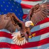 aesthetic-eagle-usa-flag-paint-by-numbers