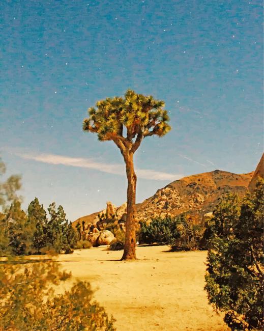 aesthetic-joshua-tree-paint-by-number