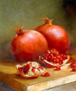 aesthetic-pomegranate-paint-by-number