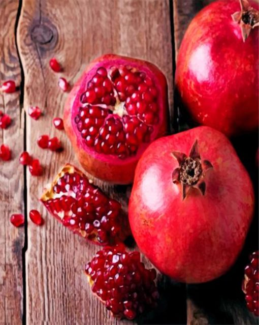 aesthetic-pomegranate-paint-by-numbers