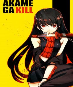akame-ga-kill-paint-by-numbers
