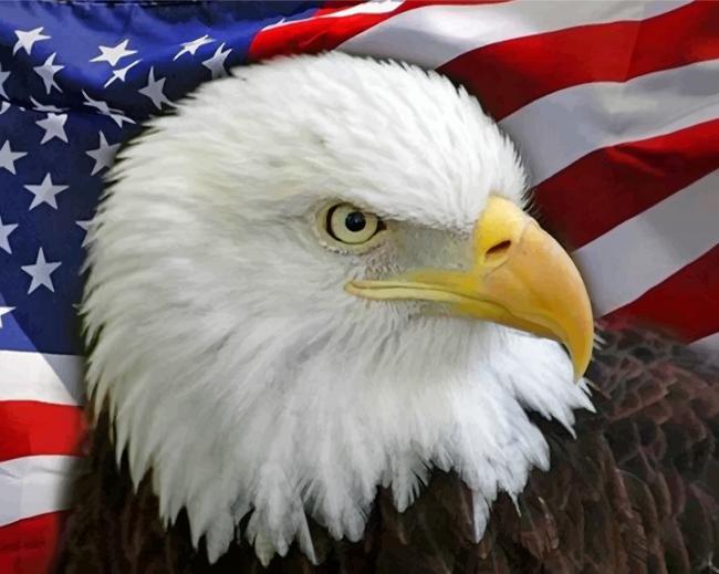 Звук орла америка. Символ Америки белоголовый Орлан. Белоголовый Орел США. Белоголовый Орлан с флагом. Белоголовый Орлан на флаге США.