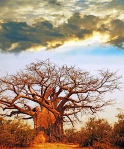 baobab-tree-paint-by-numbers