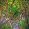 beautiful-dark-hedges-paint-by-number
