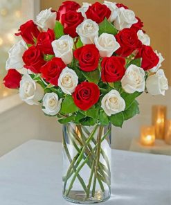 beautiful-red-white-roses-paint-by-numbers