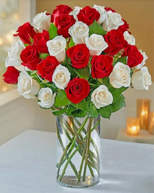 beautiful-red-white-roses-paint-by-numbers