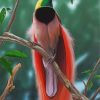 birds-of-paradise-paint-by-numbers