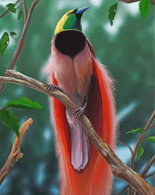 birds-of-paradise-paint-by-numbers