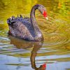 black-and-red-swan-paint-by-numbers