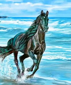 black-horse-on-beach-paint-by-number