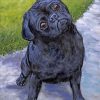 black-pug-art-paint-by-number