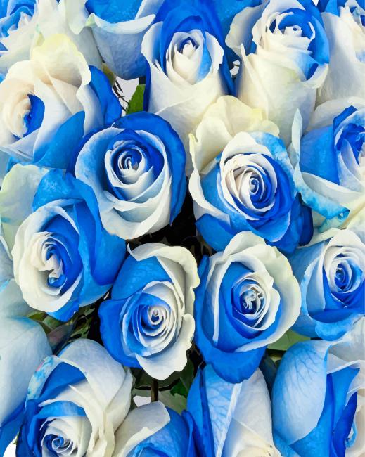 Blue And White Roses - Paint By Number - NumPaint - Paint by numbers