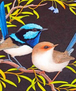 blue-wren-and-brown-bird-paint-by-numbers