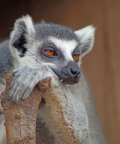 bored-lemur-paint-by-number