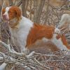 brittany-spaniel-dog-animal-paint-by-number