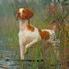 brittany-spaniel-dog-pet-paint-by-number