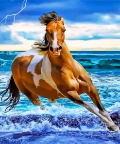 brown-and-white-horse-on-beach-paint-by-numbers