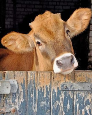 brown-cow-paint-by-number