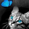 cat-and-butterflly-paint-by-numbers