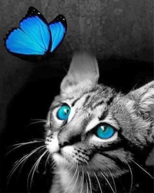 cat-and-butterflly-paint-by-numbers