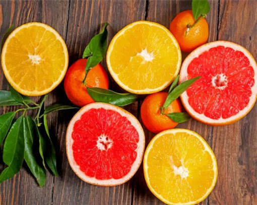 citrus-fruit-paint-by-numbers