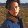 cole-sprouse-photo-shoot-paint-by-numbers