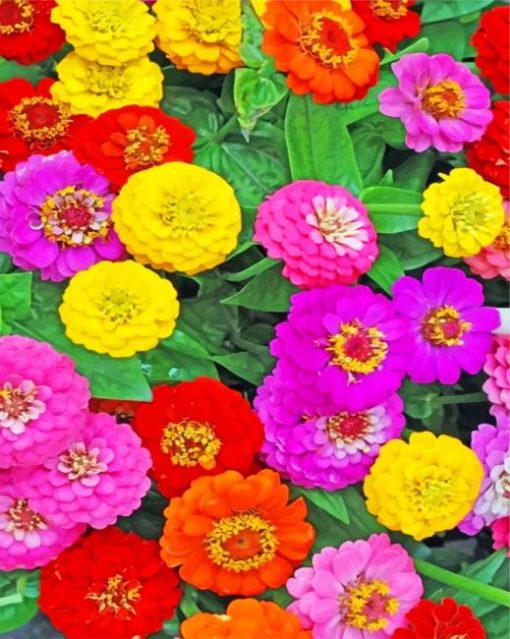 colorful-flowers-paint-by-numbers