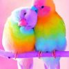 colorful-love-bird-paint-by-numbers