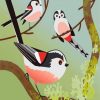 cute-birds-paint-by-number