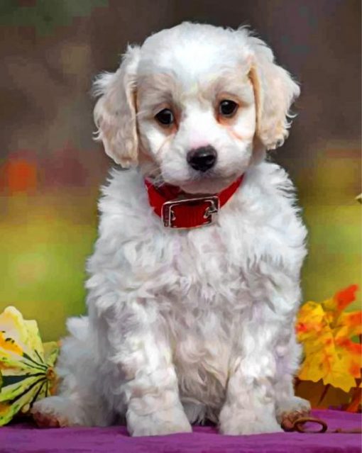 cute-cavachon-paint-by-numbers